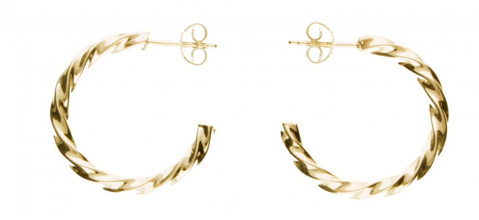 Earring ear hoops