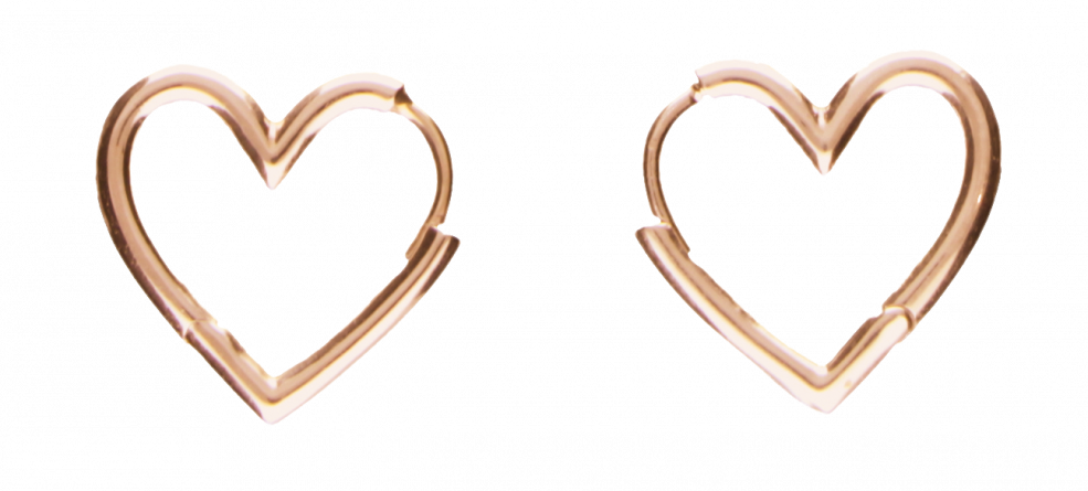 Earring ear hoops