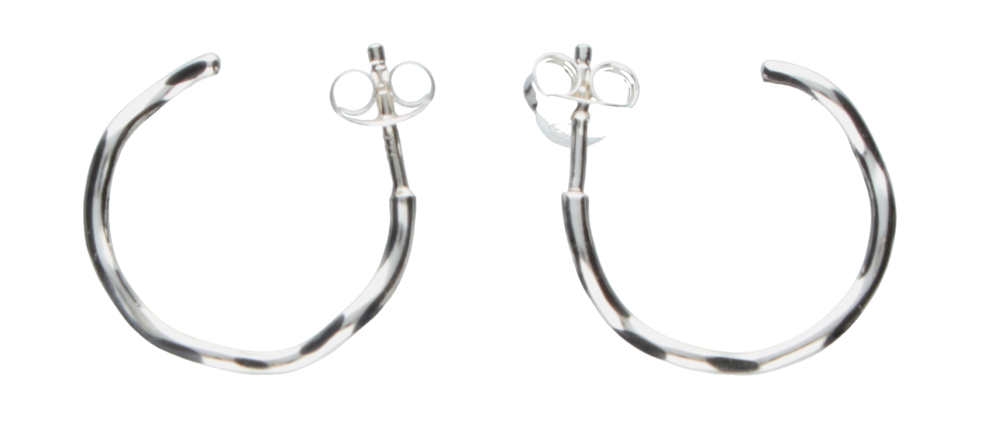 Earring ear hoops