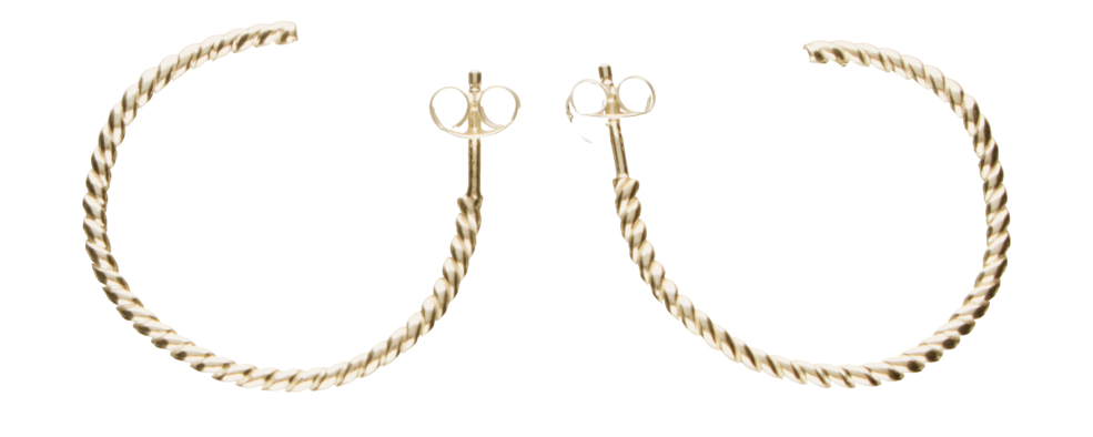 Earring ear hoops