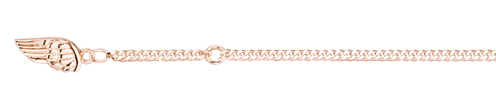 Ankle chain Curb chain 2.1mm