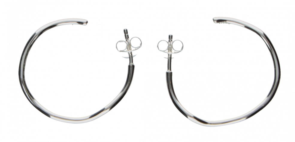 Earring ear hoops