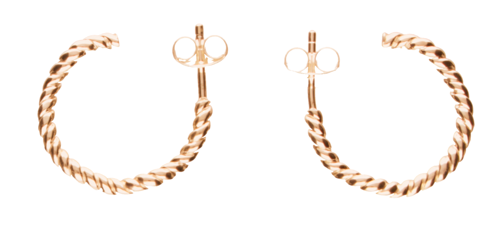 Earring ear hoops