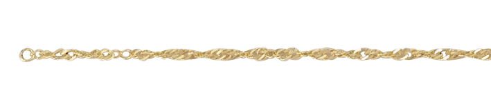 Fusskette Singapur 2.9mm