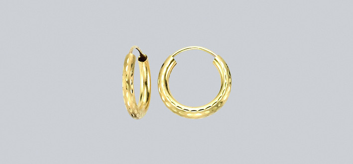 Earring ear hoops 2,5 mm