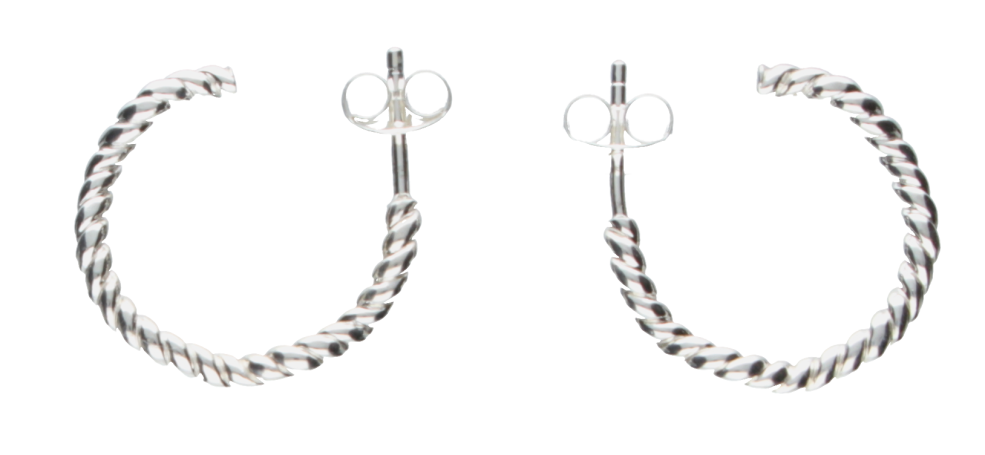 Earring ear hoops