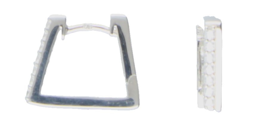 Earring ear hoops