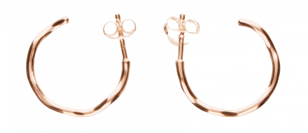 Earring ear hoops