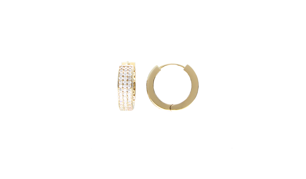 Earring ear hoops