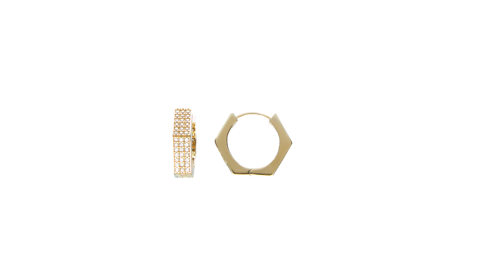 Earring ear hoops