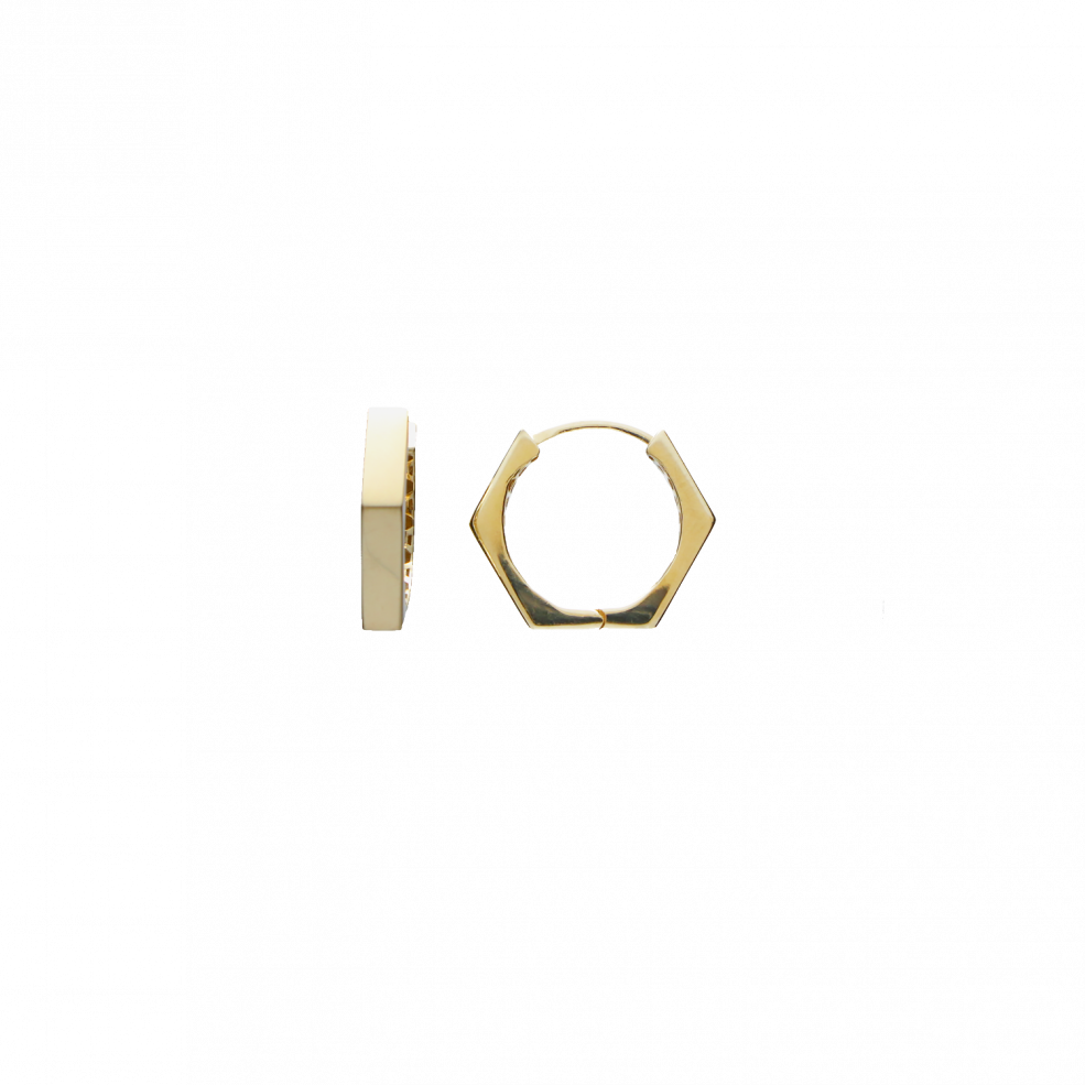 Earring ear hoops