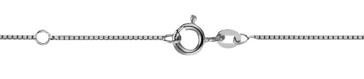 Necklace incl.loop Box chain 0.78mm
