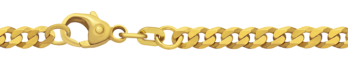 Necklace Curb Chain 3.9mm