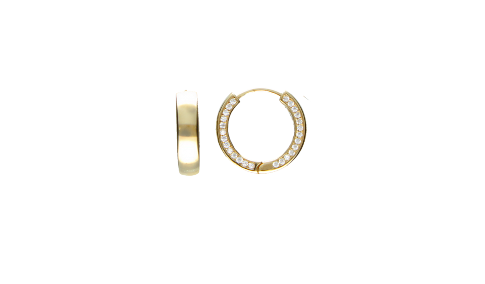 Earring ear hoops