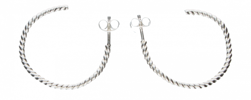 Earring ear hoops