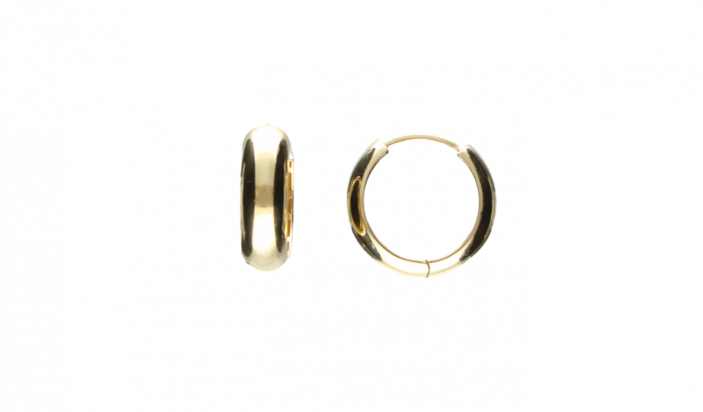 Earring ear hoops